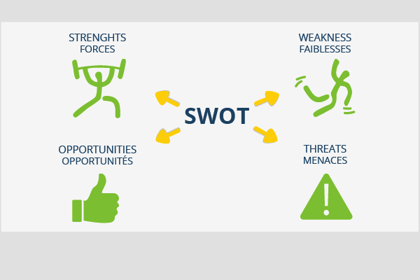 analyse swot fr wiki.png